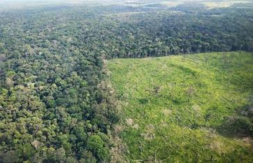 Die Abholzung von Bäumen im brasilianischen Amazonasgebiet war im Januar im Monatsvergleich auf dem höchsten Stand seit fünf Jahren Die Abholzung von Bäumen im brasilianischen Amazonasgebiet war im Januar im Monatsvergleich auf dem höchsten Stand seit fünf Jahren