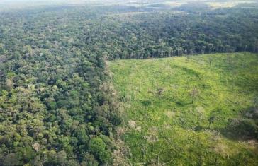 Die Abholzung und Brandrodung im brasilianischen Amazonas geht unvermindert weiter