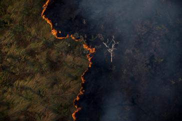 Einer der zahlreichen Brände im Amazonaswald, hier im brasilianischen Bundesstaat Rondônia