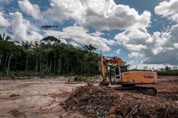 Die Abholzung im Amazonas erreicht in diesem Jahr neue Rekordwerte. Umweltzerstörungen erhöhen das Risiko von Pandemien