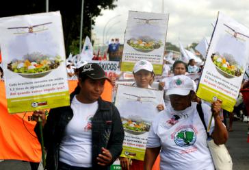 Mit der "Campanha Permanente contra os Agrotóxicos e pela Vida" wehren sich Landarbeiter:innen und indigene Gemeinschaften seit Jahren gegen den Einsatz giftiger Pestizide