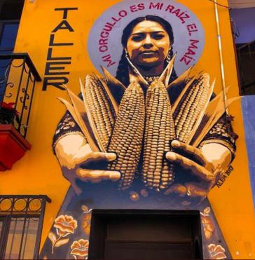 "Mein Stolz ist meine Wurzel, mein Mais" steht auf einem Wandbild in Mexiko