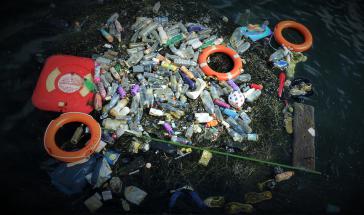 Plastik ist neben der Fischerei die größte Bedrohung für die Umwelt rund die Galapagosinseln