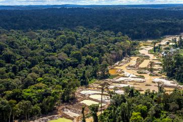 "Bolsonaro hat das Land mit einer Abholzungsrate von 7.500 km2 im Amazonasgebiet übernommen und übergibt es nun mit 11.500 km²", sagte der Exekutivsekretär der Klimabeobachtungsstelle, Marcio Astrini.