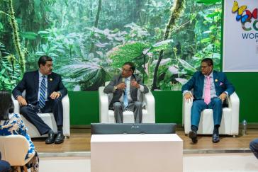 Maduro (links), Petro und Santokhi (rechts) wollen die Zusammenarbeit der Amazonas-Länder erreichen. Die USA müssten sich ebenfalls an Schutzmaßnahmen beteiligen