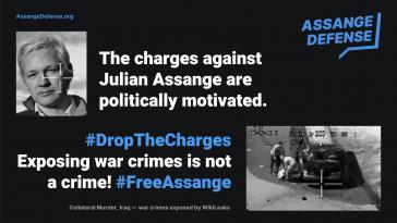 Kampagne für die Freiheit von Julian Assange: "Die Aufdeckung von Kriegsverbrechen ist kein Verbrechen"