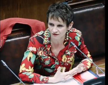 Innenministerin Carolina Tohá verteidigt die Verlängerung des Ausnahmezustands (Screenshot)