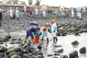 Mindestens 1.400 Hektar Strand wurden durch ausgelaufenes Öl verschmutzt