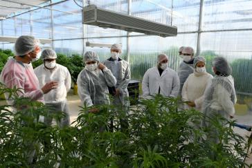 Abgeordnete aus Paraguay informieren sich über den staatlich kontrollierten Anbau von Marihuana im Nachbarland Uruguay