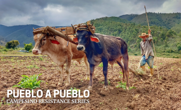 Pueblo a Pueblo setzt auf kleinbäuerliche, ökologische Landwirtschaft