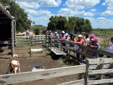 Uruguay bietet für Kuba interessante Erfahrungen in der Vieh- und Milchwirtschaft