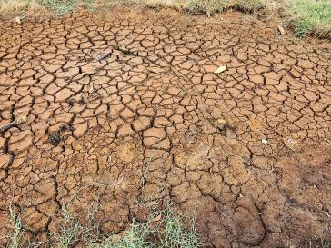 Die Dürre infolge des El Niño-Phänomens hinterlässt bereits ihre Spuren Die Dürre infolge des El Niño-Phänomens hinterlässt bereits ihre Spuren
