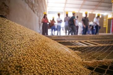 Als weltweit größter Sojaproduzent spielt Brasilien eine Schlüsselrolle für den Absatz von Saatgut und Pestiziden des Agrarkonzerns Bayer