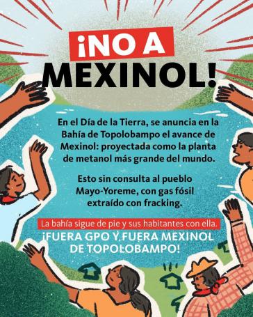 Proteste der Mayo-Yoreme gegen die Petrochemie in Sinaloa nehmen zu Proteste der Mayo-Yoreme gegen die Petrochemie in Sinaloa nehmen zu