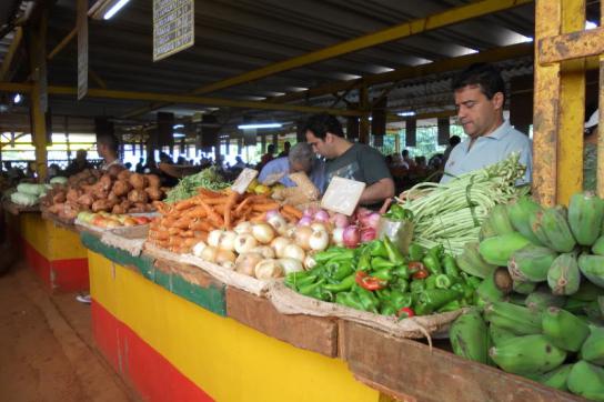 Agrarmarkt in Kuba: Bald mit mehr privaten Bauern 