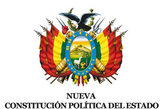 Bald voll in Kraft: Neue Verfassung Boliviens