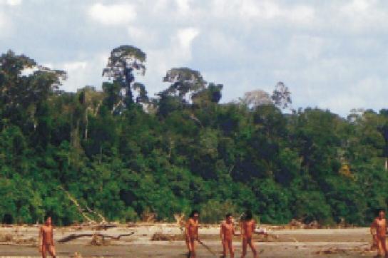 Besonders Indigene drängen auf den Schutz von Wäldern und Wildtieren