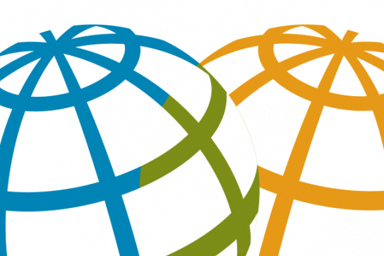 Cover des Berichts "Global Trends 2030"