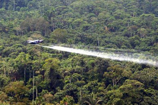 Einsatz von Herbiziden gegen Coca-Pflanzungen im kolumbianischen Regenwald