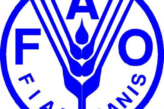 Logo der FAO: Mit Uruguay soll dei Süd-Süd-Kooperation gestärkt werden