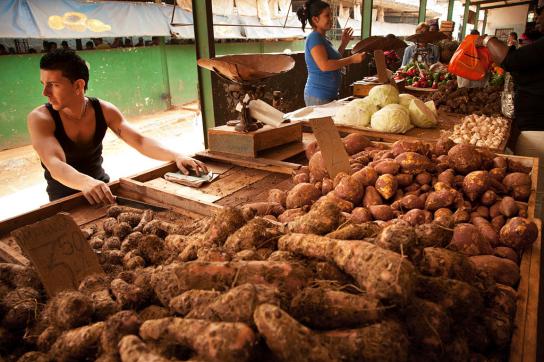 Bauernmarkt in Havanna