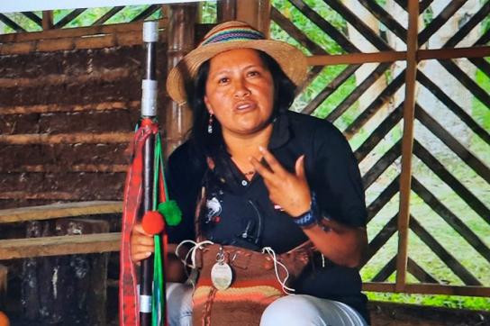 Sandra Liliana Peña Chocue