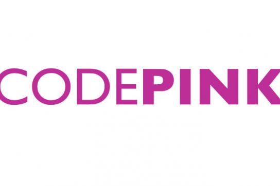 Logo der US-amerikanischen Friedensorganisation Codepink, zu der Teri Mattson gehört