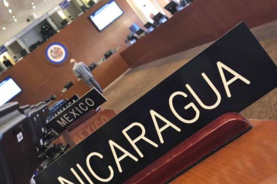 Arturo McFields Yescas hat bei einer Online-Versammlung der OAS die Freilassung inhaftierter Oppositioneller gefordert